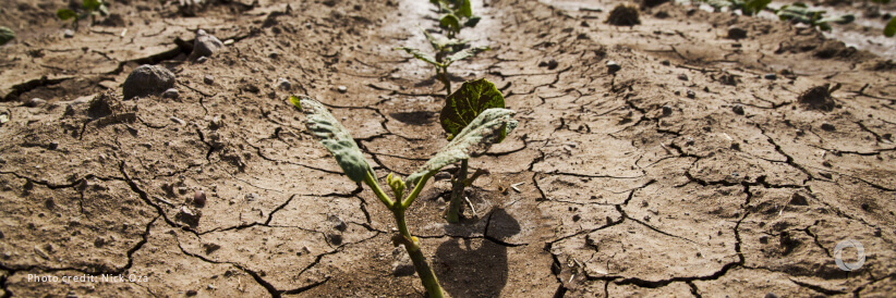 ECHO Partners with UNICEF and WFP to mitigate the impact of El Niño-driven drought in Zambia