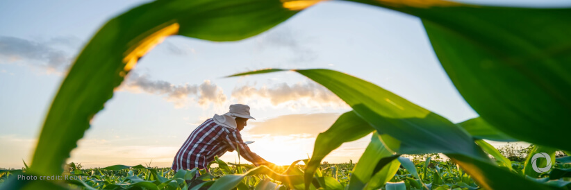 FAO welcomes UN Biodiversity COP16.2, highlights agrifood systems as key to achieving global biodiversity goals FAO welcomes UN Biodiversity COP16.2, highlights agrifood systems as key to achieving global biodiversity goals