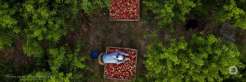 Commission presents its roadmap for a thriving EU farming and agri-food sector
