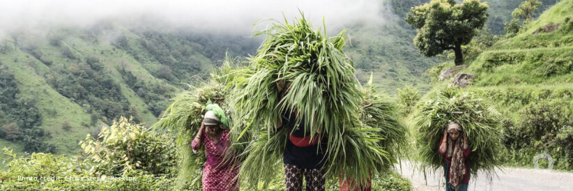 IFAD and Haiti sign US$23.6 million grant agreement to help nearly 100,000 rural people reduce hunger by increasing productivity and incomes