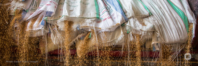 The Government of Egypt revives its national flour fortification programme in collaboration with WFP to prevent the spread of iron deficiency anaemia