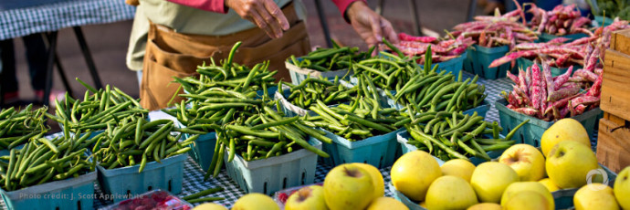 Investing in local food system