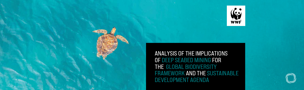 WWF calls for a global moratorium on deep seabed mining to protect ocean biodiversity and climate stability