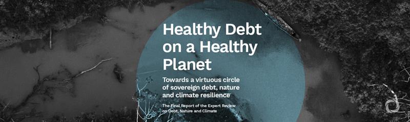 Experts call for debt restructuring and new financial instruments to tackle climate change and nature loss in ‘critical decade of action’