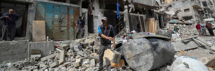 Plague of rats and insects provide latest challenge for war-shattered Gazans