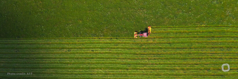 IFAD, China, and private sector invest in enterprise-led green agricultural development and rural revitalization