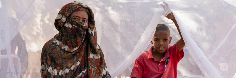 WHO calls for revitalized efforts to end malaria WHO calls for revitalized efforts to end malaria