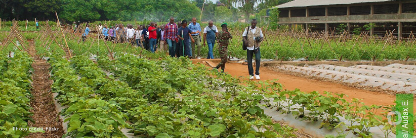 New IFAD €3 million loan to create 10,000 rural jobs in Benin