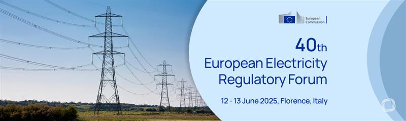 40th European Electricity Regu