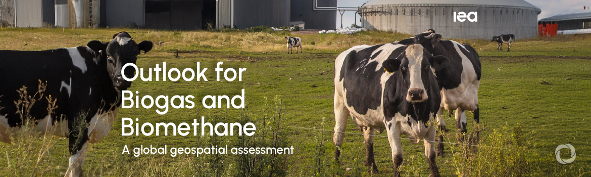 Biogases’ benefits for energy security, local economies and reducing emissions are drawing renewed interest