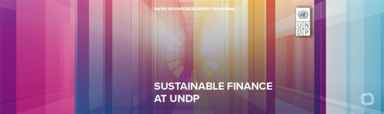 UNDP leverages every dollar to