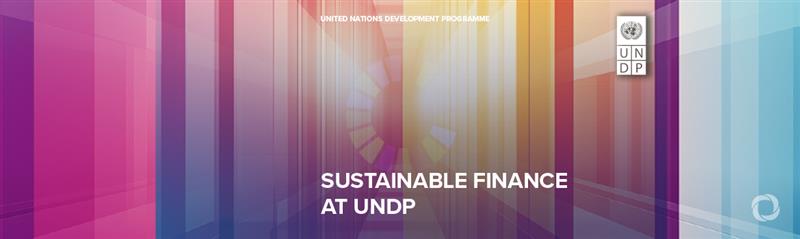 UNDP leverages every dollar to promote investments of nearly $60 for Sustainable Development, shows new report