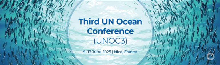 Third UN Ocean Conference (UNO...