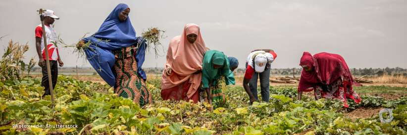 IFAD calls for inclusive investments and an increase in South-South cooperation to better transform rural areas in Brazil and African countries