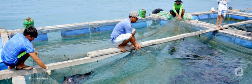 ADB, Thai Union sign the first blue loan for sustainable aquaculture in Thailand