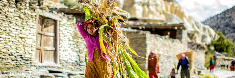 ADB support for food security to reach $40 billion by 2030