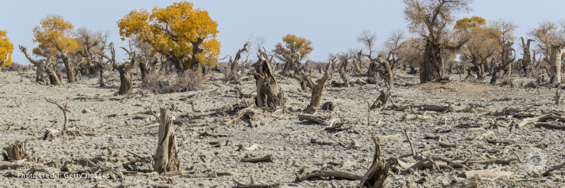 Advancing drought impact monitoring: a global baseline