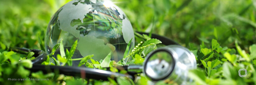 WHO chief laments most disruptive cuts to global health funding ‘in living memory’