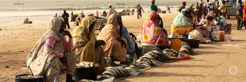 EU Parliamentary Delegation calls for sustained investments and international attention to tackle rising needs in Mauritania