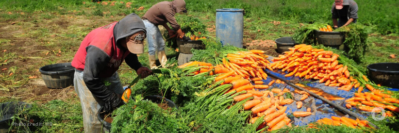 IFAD showcases its bold rural innovations and launches consultation for a new strategy at IFAD Innovation Day