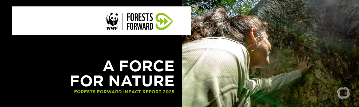 Companies protect 4 million hectares through WWF program