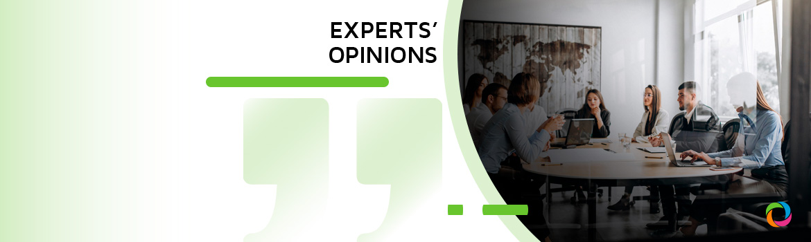 Can project implementation units be of support to country systems? | Experts’ Opinions
