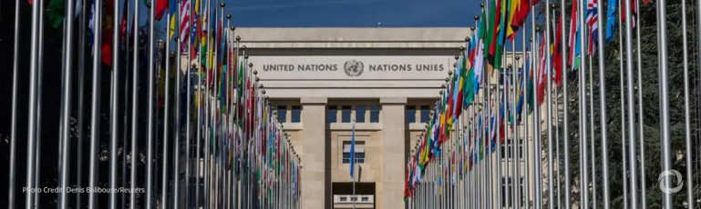 UN warns governments hunting c