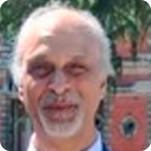 Karim Merchant, Senior Expert, Conflict-sensitive Development and Project Management