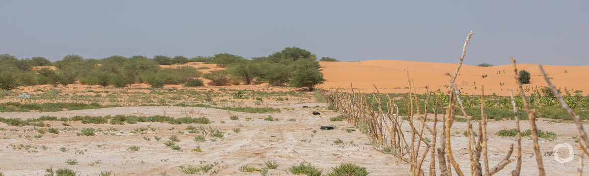 Arab countries losing farmland at alarming rate