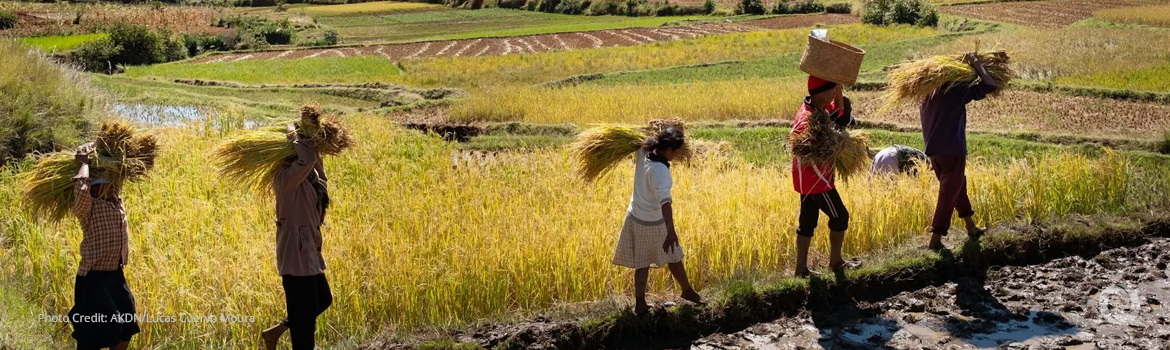 $150 million program helps Madagascar farmers adapt to climate change