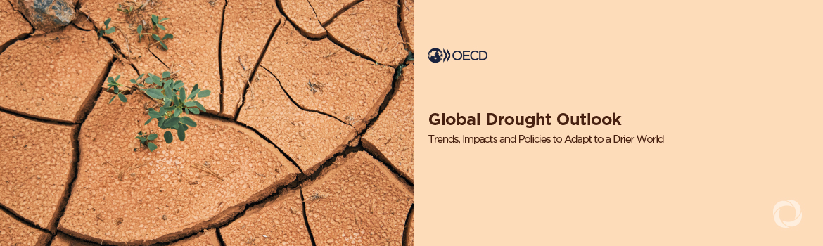 OECD: Drought costs to jump 35% by 2035