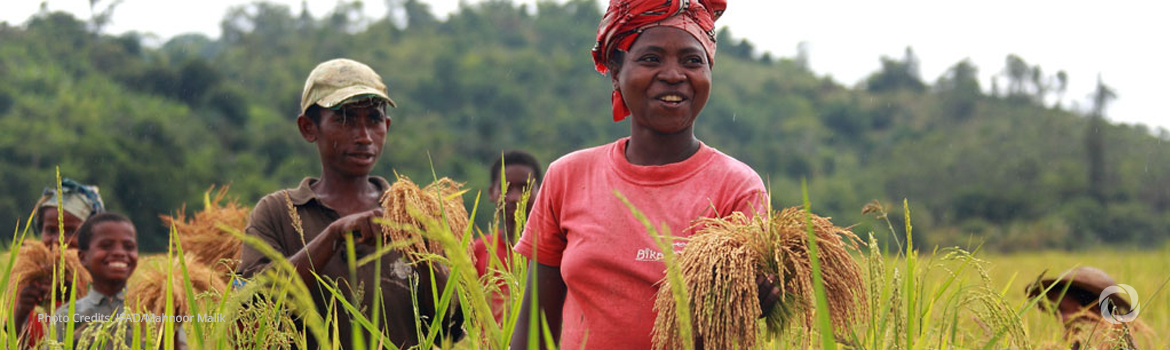 IFAD initiative supports half million farmers in Madagascar