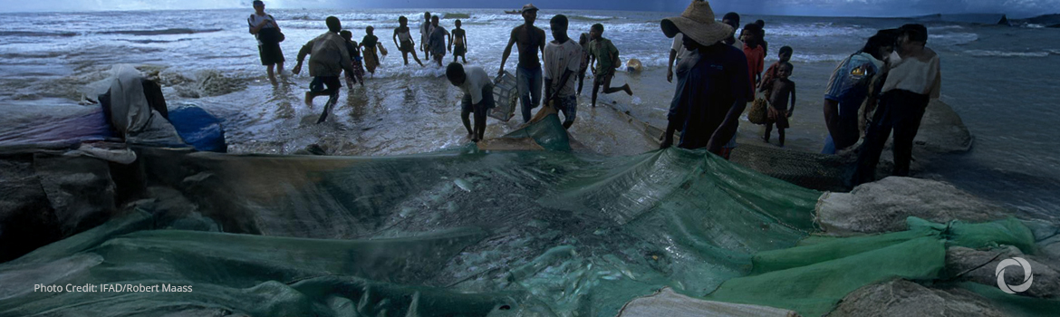 The International Fund for Agricultural Development pushes ocean finance for coastal communities
