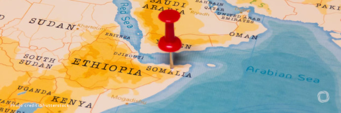 The role of intellectual prope