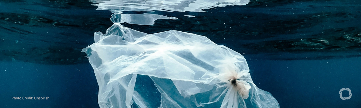 Development banks launch €3 billion ocean cleanup fund