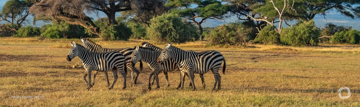 Tourism recovery creates 1.7 million jobs in Kenya