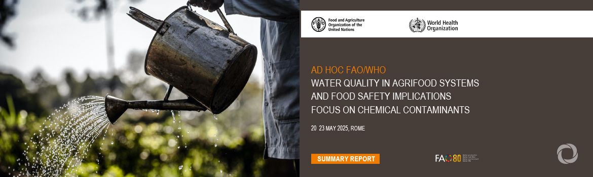 FAO and WHO warn about chemicals in farm water