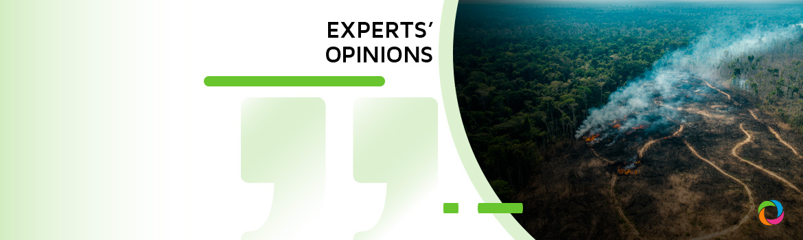 Amazon fires in 2024: Climate action setbacks and long-term effects | Experts’ Opinions