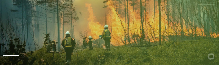 Burning Europe: wildfires and 