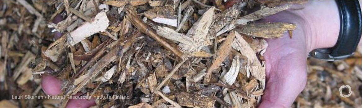 Finland funds Ukraine's forest-to-energy push with €1 million