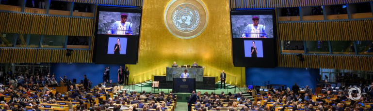 UN summit probes growing role 