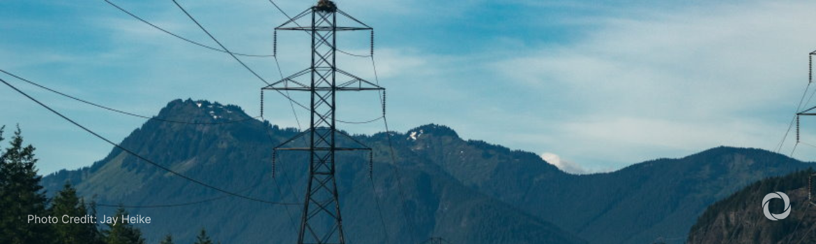EIB backs €500 million green bond for Romanian power utility