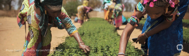 GCF approves record $300M for 