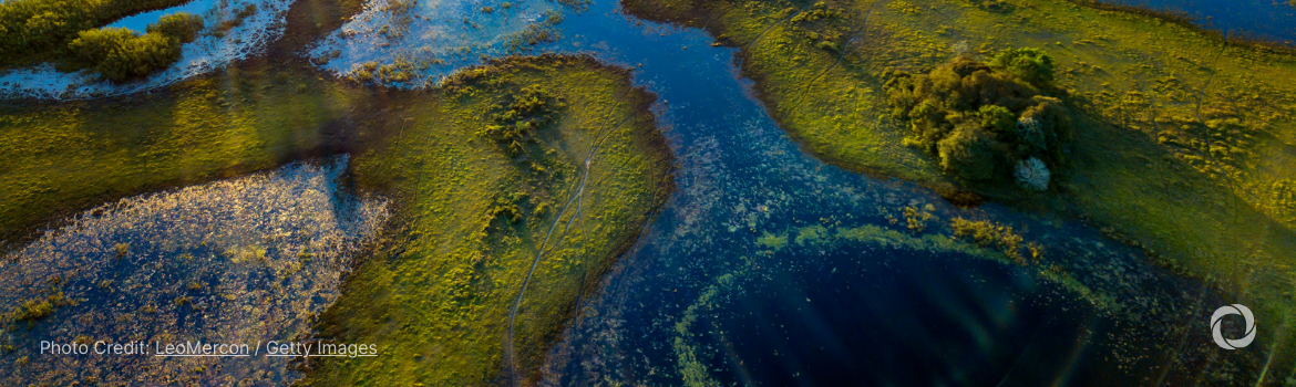UK and France fund global biodiversity credit panel