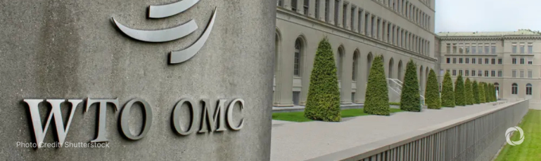 UK backs WTO training for deve