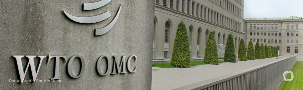UK backs WTO training for developing countries