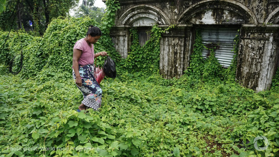 Myanmar's Rakhine State faces deepening hunger crisis