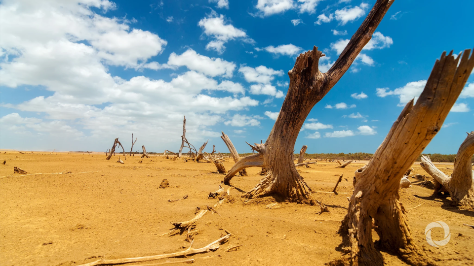 Australia appoints new climate change ambassador Australia appoints new climate change ambassador
