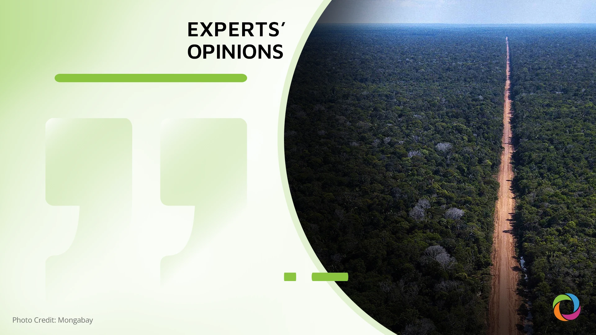 Pros and Cons of paving the BR-319 Brazilian highway through the heart of Amazon | Experts’ Opinions