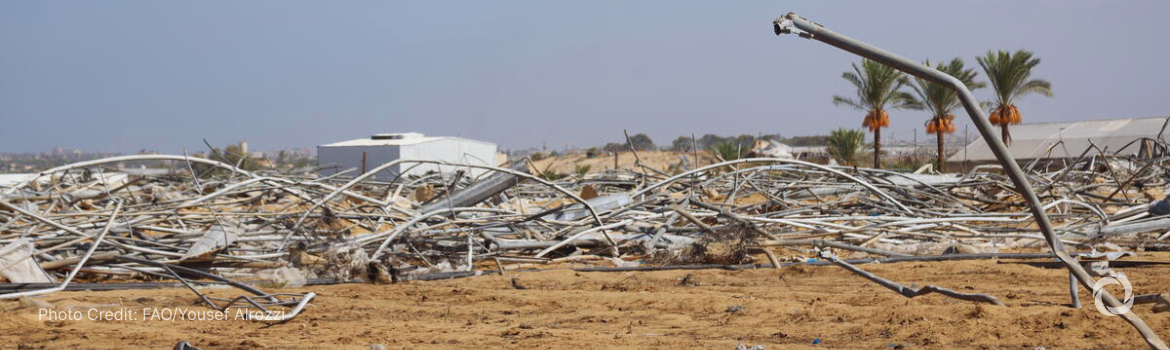UN warns Gaza agriculture destroyed while famine unfolds